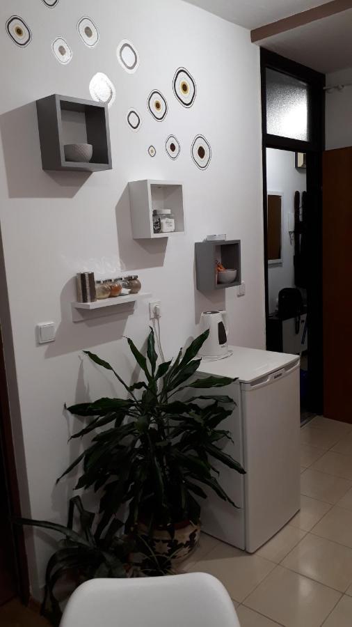 Apartman Panorama Vukovar Exteriér fotografie